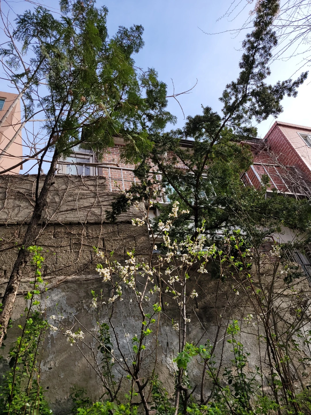 KakaoTalk_Photo_2022-08-18-14-41-28 023.jpeg