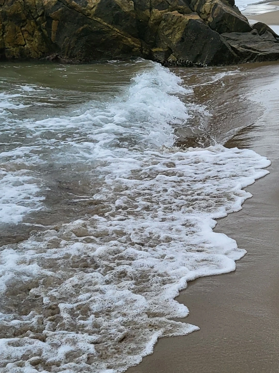 KakaoTalk_Photo_2022-08-29-16-53-02 004.jpeg