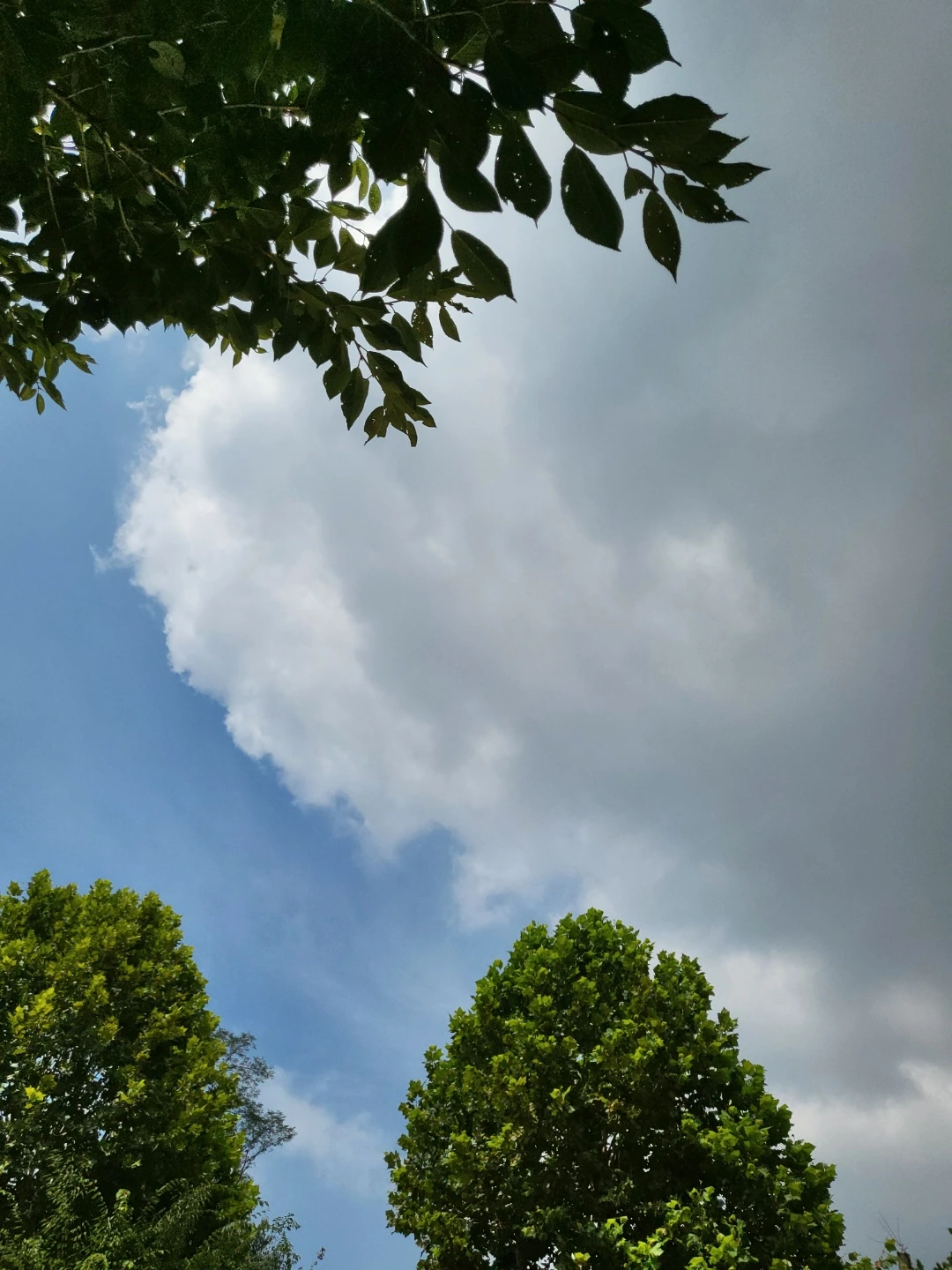 KakaoTalk_Photo_2022-08-18-14-42-10 017.jpeg