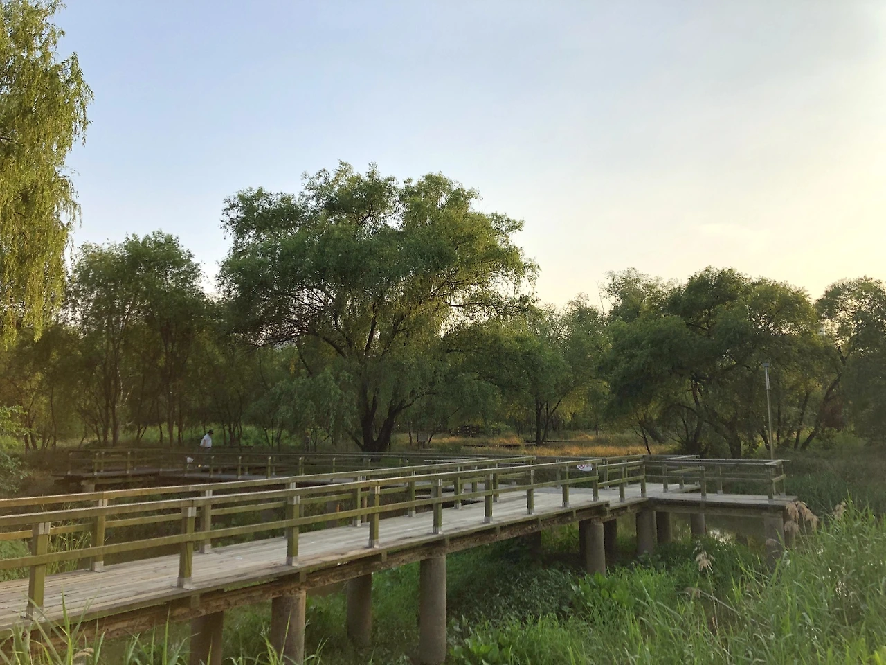 KakaoTalk_Photo_2022-08-18-14-41-11 007.jpeg