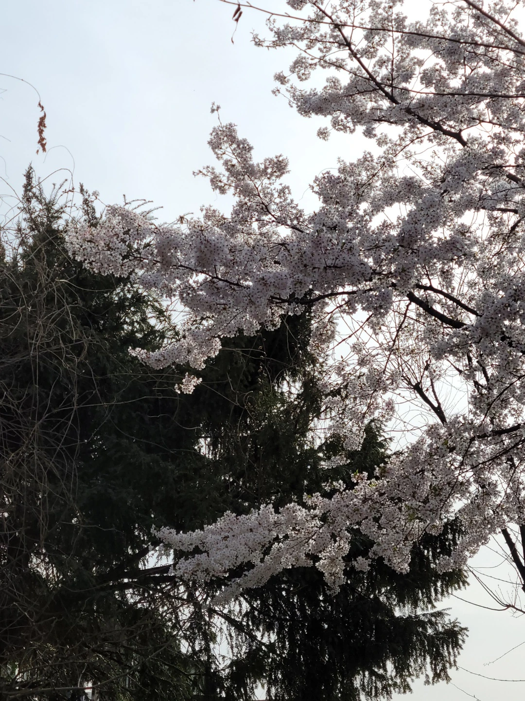 KakaoTalk_Photo_2022-08-18-14-41-28 024.jpeg