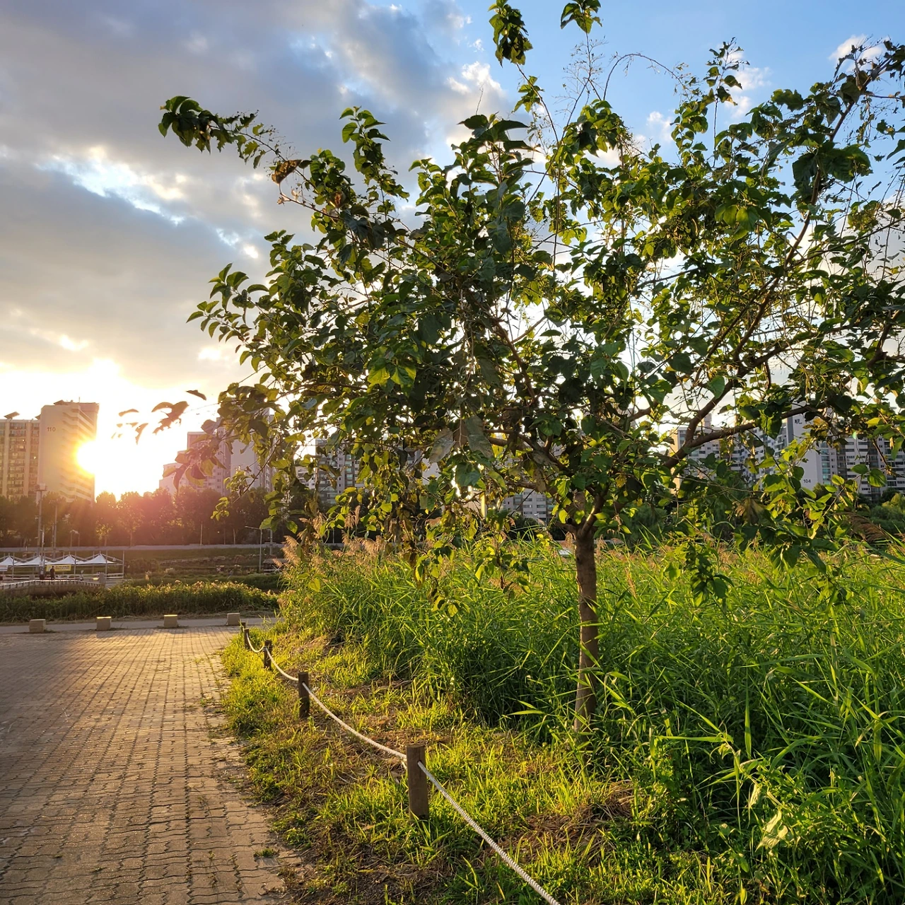 KakaoTalk_Photo_2022-08-18-14-41-28 021.jpeg