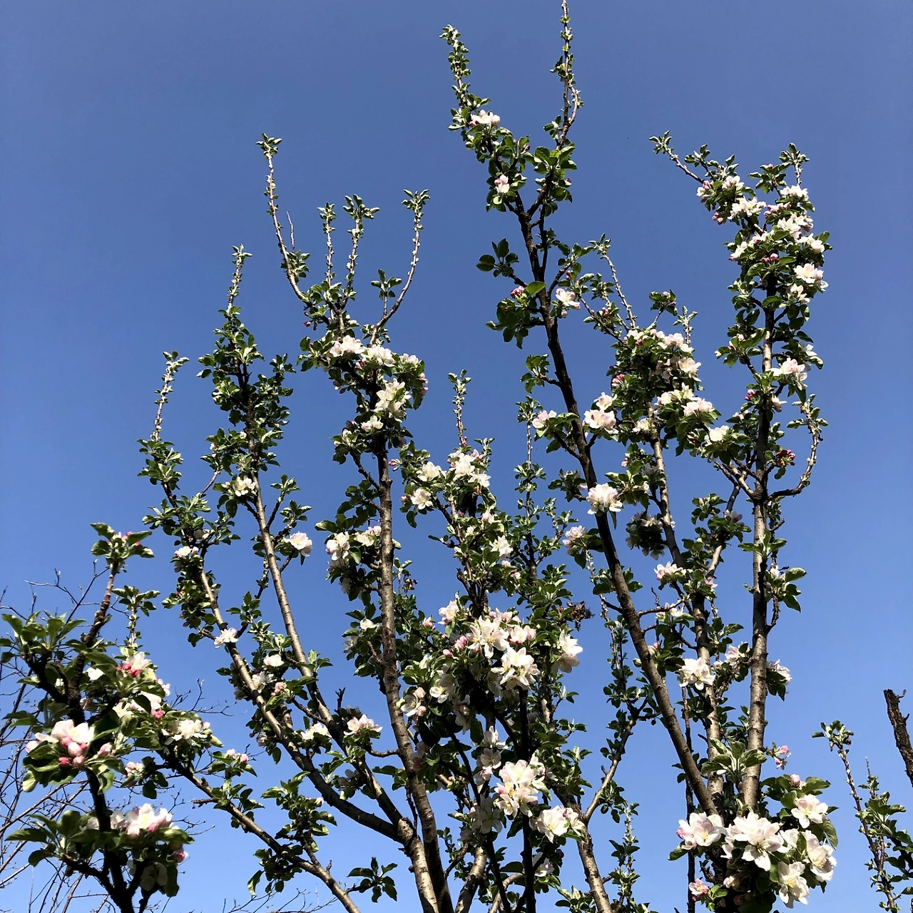 KakaoTalk_Photo_2022-08-18-14-40-45 005.jpeg