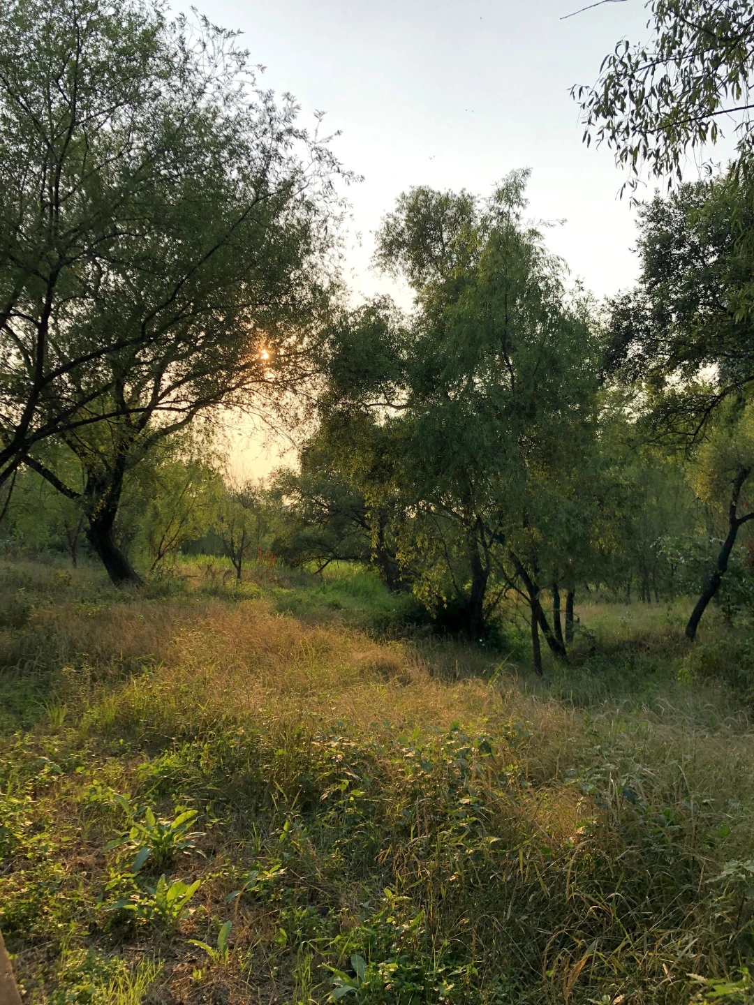 KakaoTalk_Photo_2022-08-18-14-41-26 010.jpeg