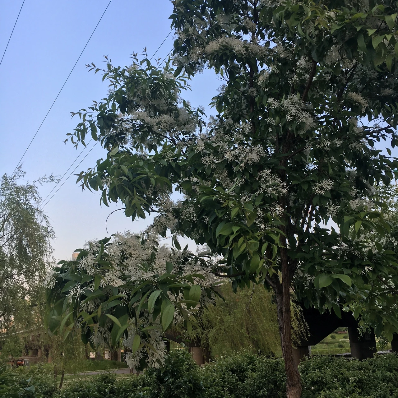 KakaoTalk_Photo_2022-08-18-14-40-45 014.jpeg