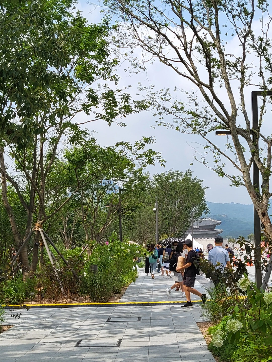 KakaoTalk_Photo_2022-08-12-12-27-18 003.jpeg