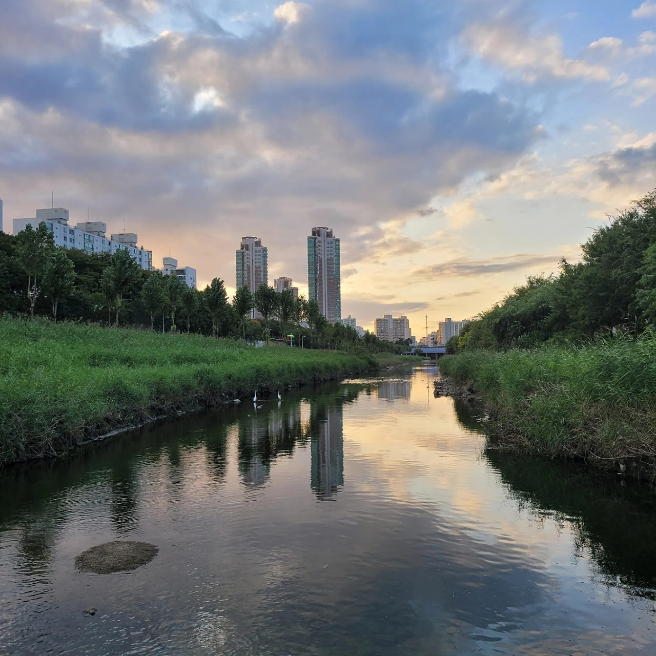 KakaoTalk_Photo_2022-08-18-14-42-07 003.jpeg