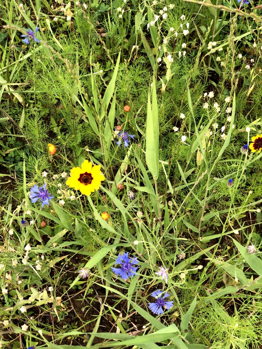 KakaoTalk_Photo_2022-08-18-14-40-45 004.jpeg