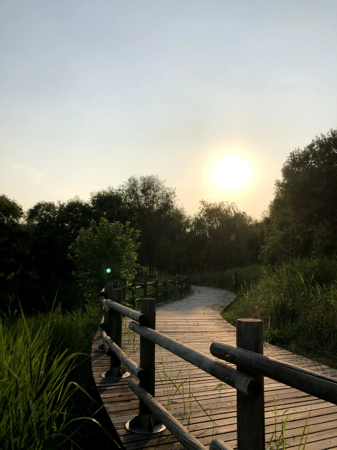 KakaoTalk_Photo_2022-08-18-14-41-11 006.jpeg