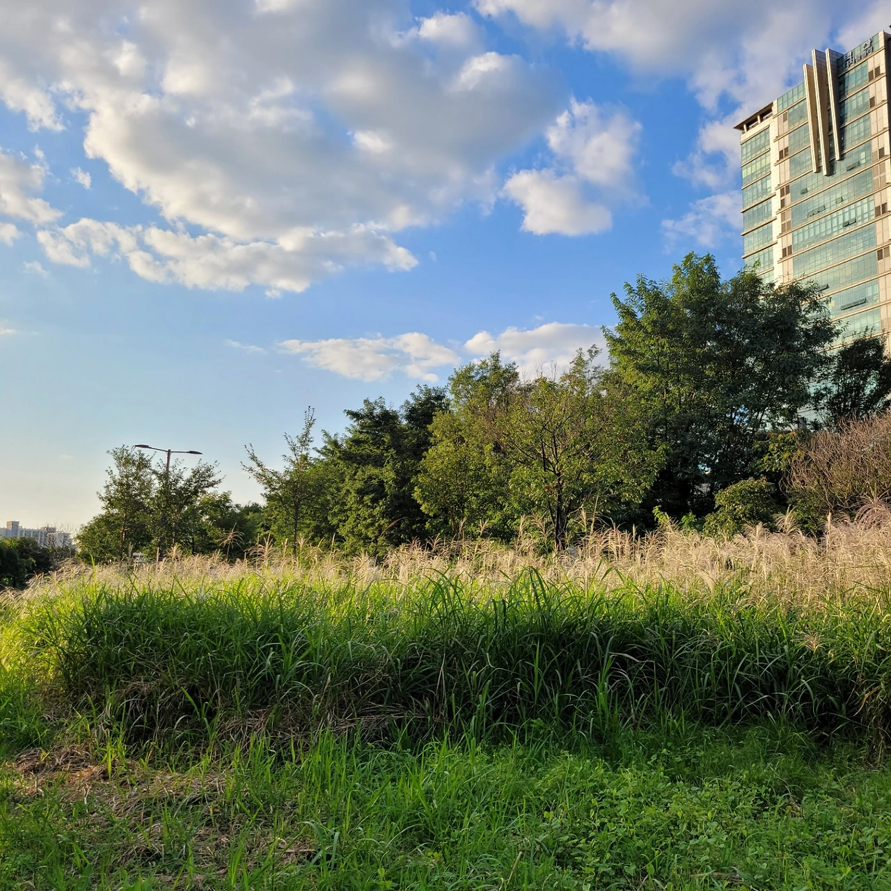 KakaoTalk_Photo_2022-08-18-14-41-27 016.jpeg