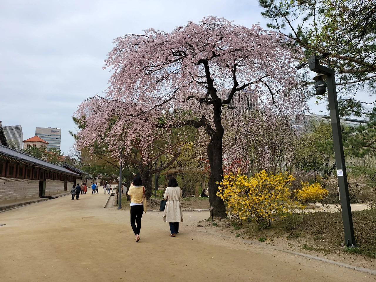 KakaoTalk_Photo_2022-08-18-14-42-08 014.jpeg