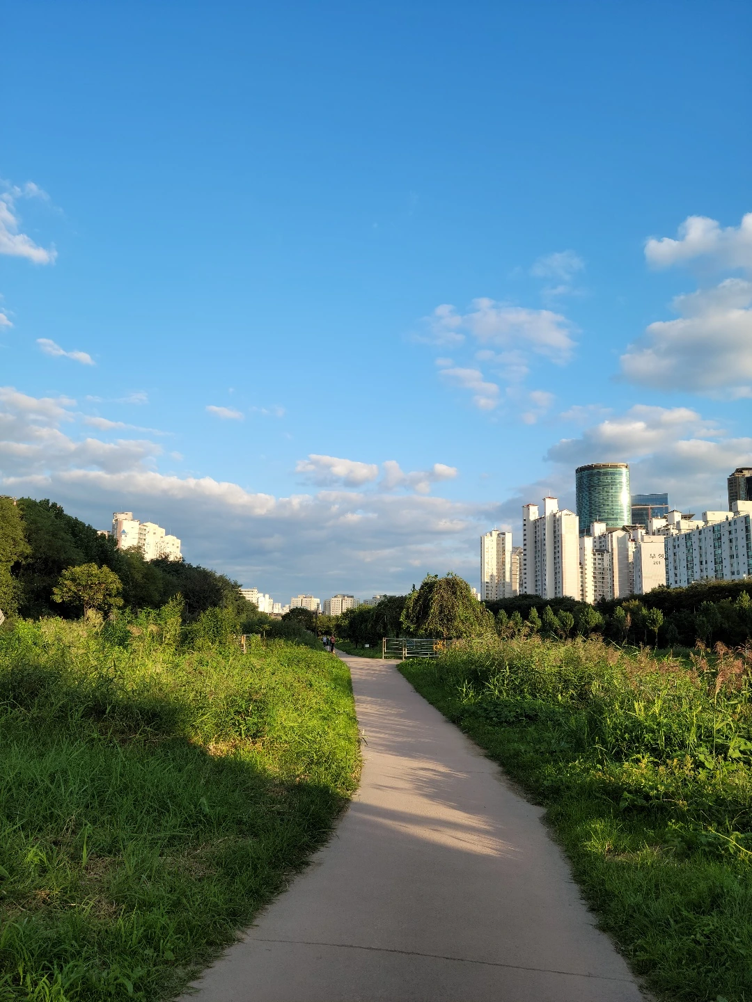 KakaoTalk_Photo_2022-08-18-14-41-28 020.jpeg