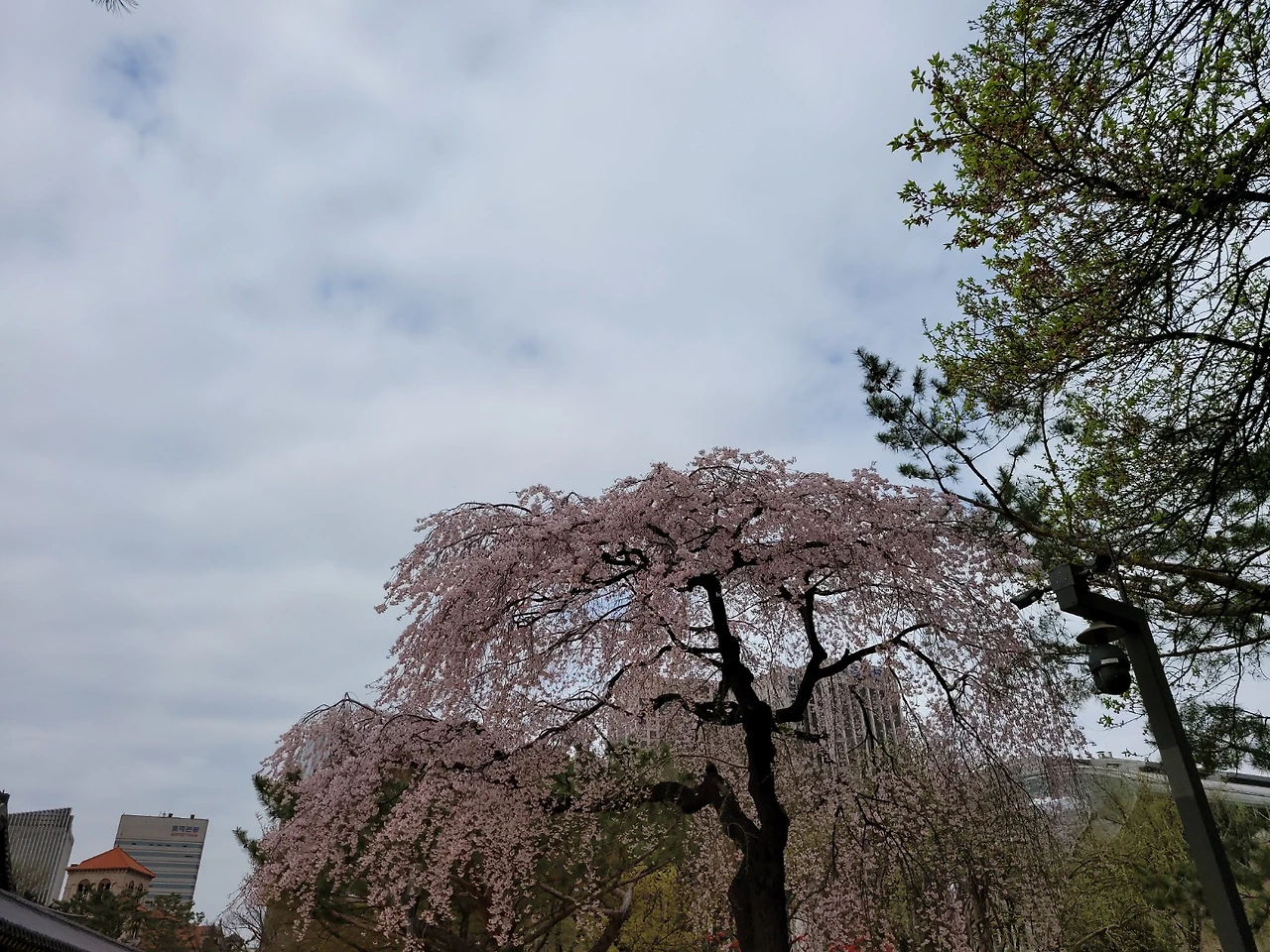 KakaoTalk_Photo_2022-08-18-14-42-09 015.jpeg