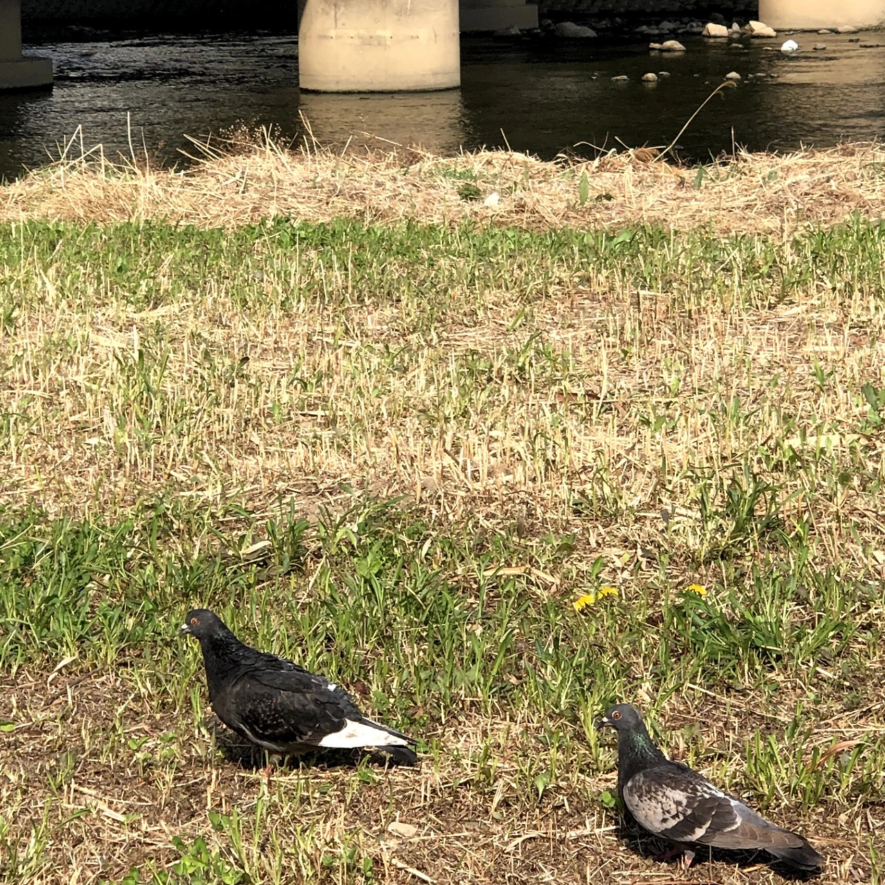 KakaoTalk_Photo_2022-08-18-14-40-45 007.jpeg