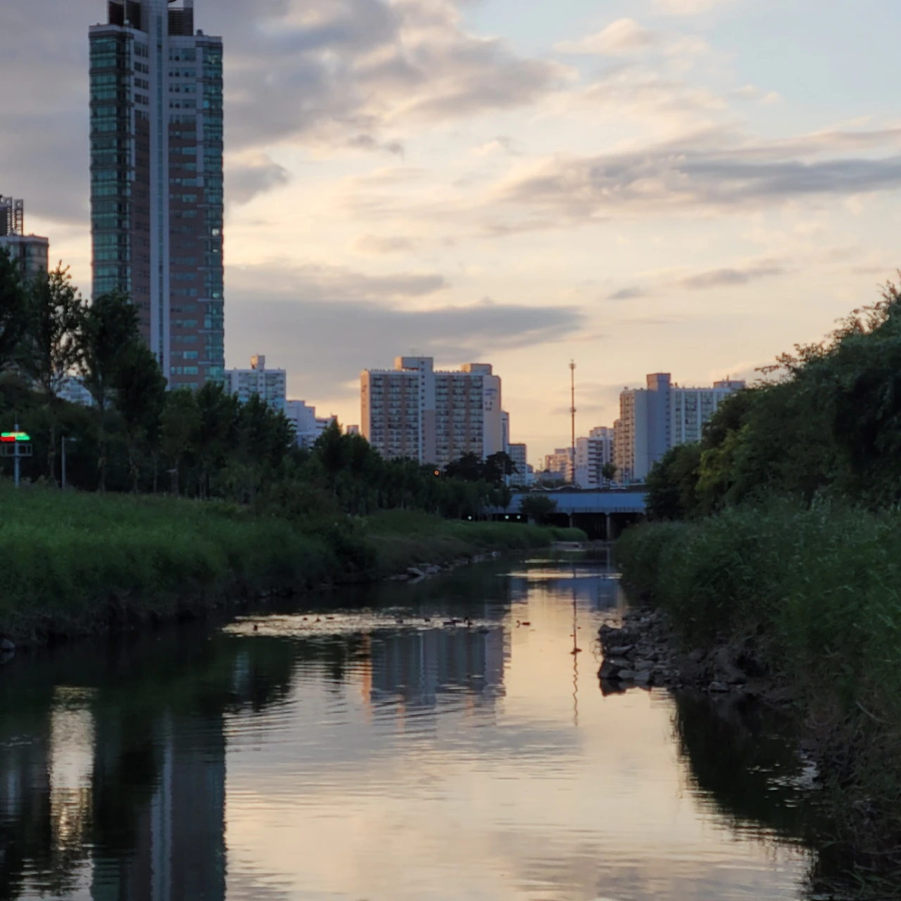 KakaoTalk_Photo_2022-08-18-14-42-06 001.jpeg