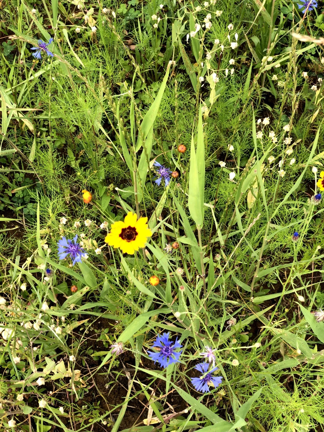 KakaoTalk_Photo_2022-08-18-14-40-45 003.jpeg