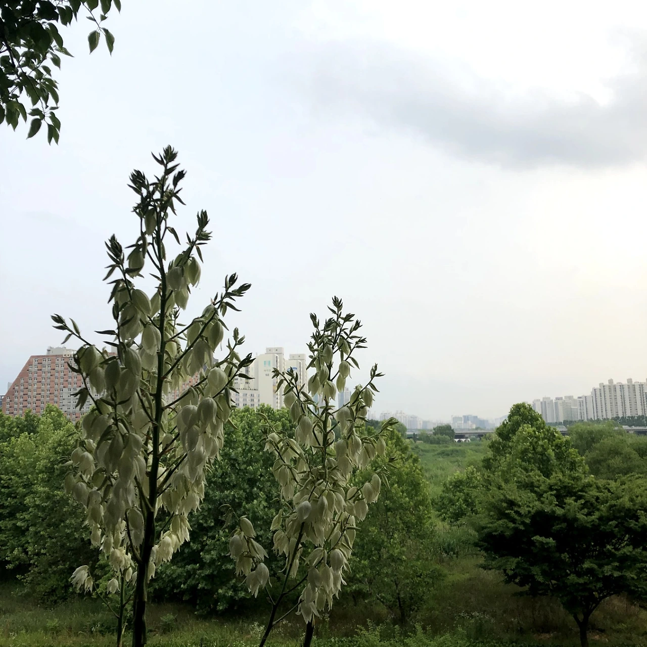 KakaoTalk_Photo_2022-08-18-14-40-45 002.jpeg