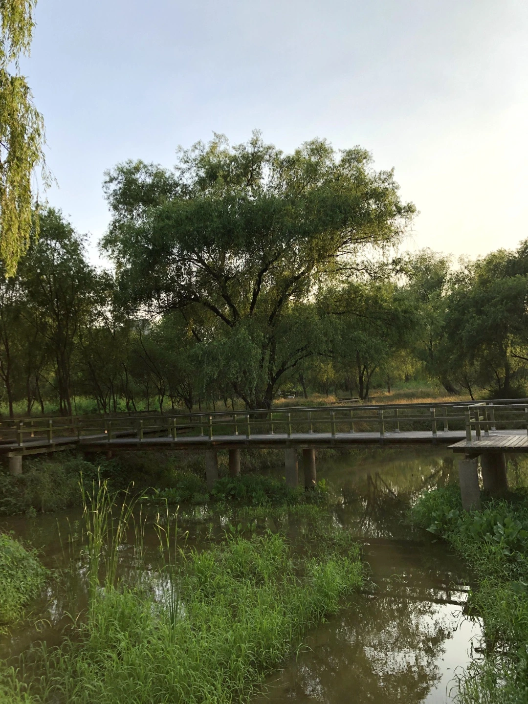 KakaoTalk_Photo_2022-08-18-14-41-26 011.jpeg