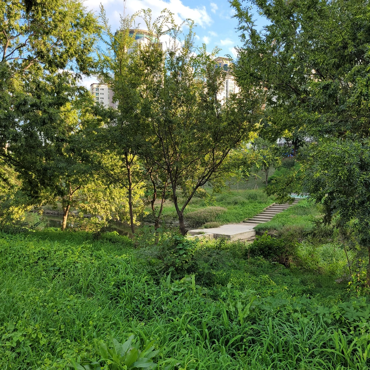 KakaoTalk_Photo_2022-08-18-14-41-28 022.jpeg