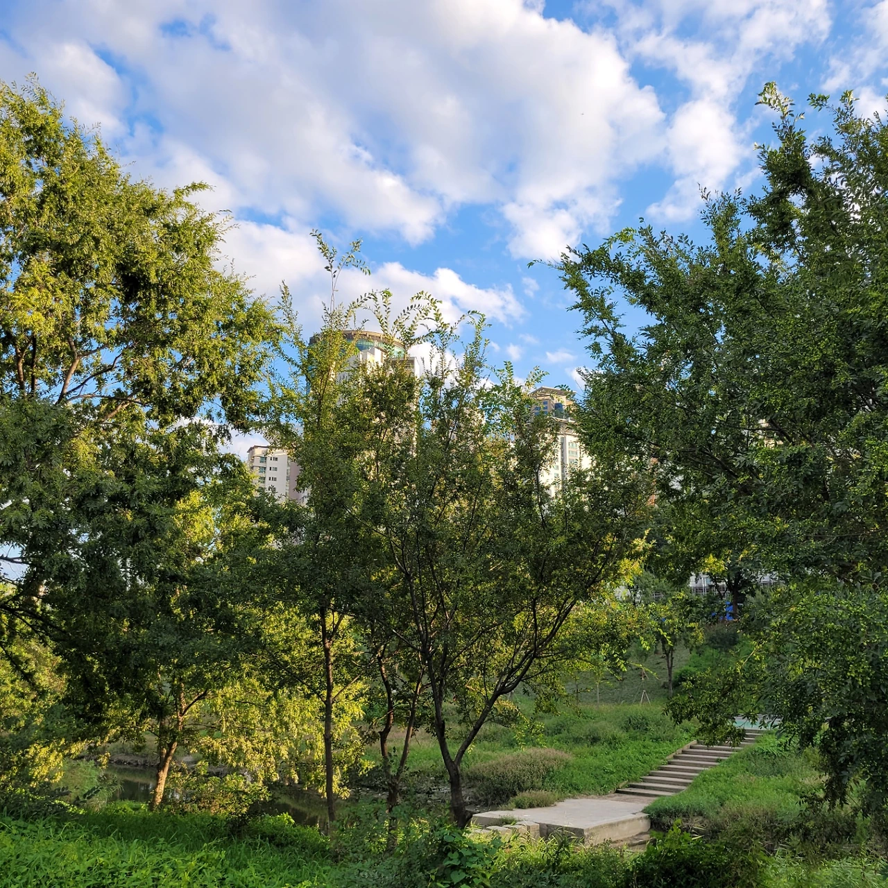 KakaoTalk_Photo_2022-08-18-14-41-27 017.jpeg