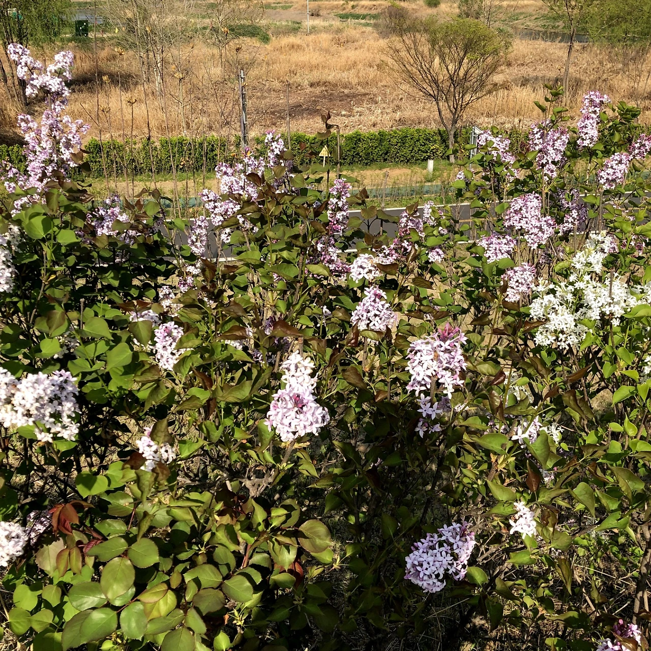 KakaoTalk_Photo_2022-08-18-14-40-45 006.jpeg