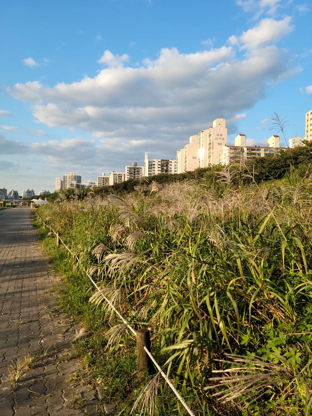 KakaoTalk_Photo_2022-08-18-14-41-28 019.jpeg