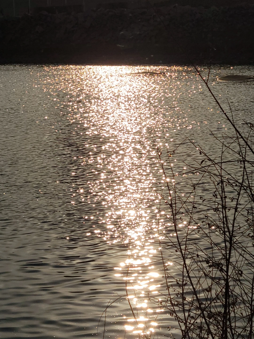 KakaoTalk_Photo_2022-08-18-14-42-08 013.jpeg