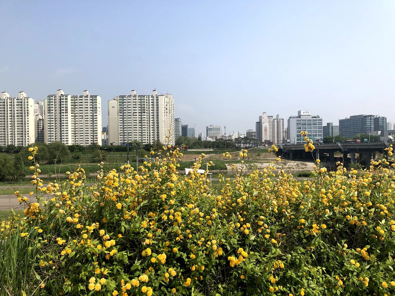 KakaoTalk_Photo_2022-08-18-14-41-11 003.jpeg