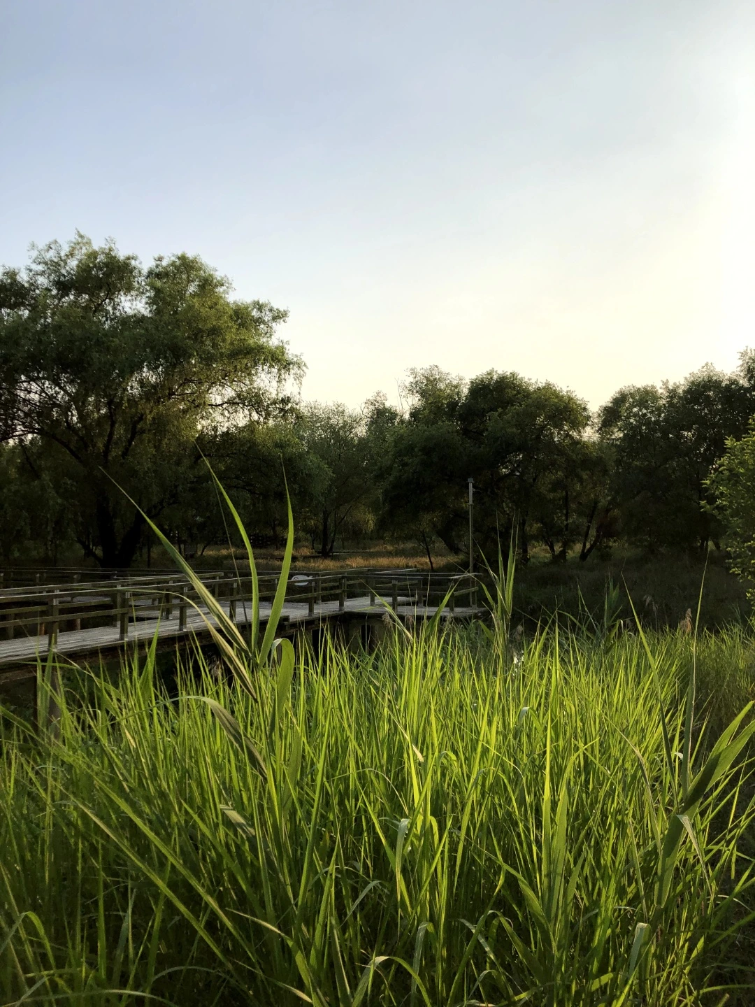 KakaoTalk_Photo_2022-08-18-14-41-26 008.jpeg