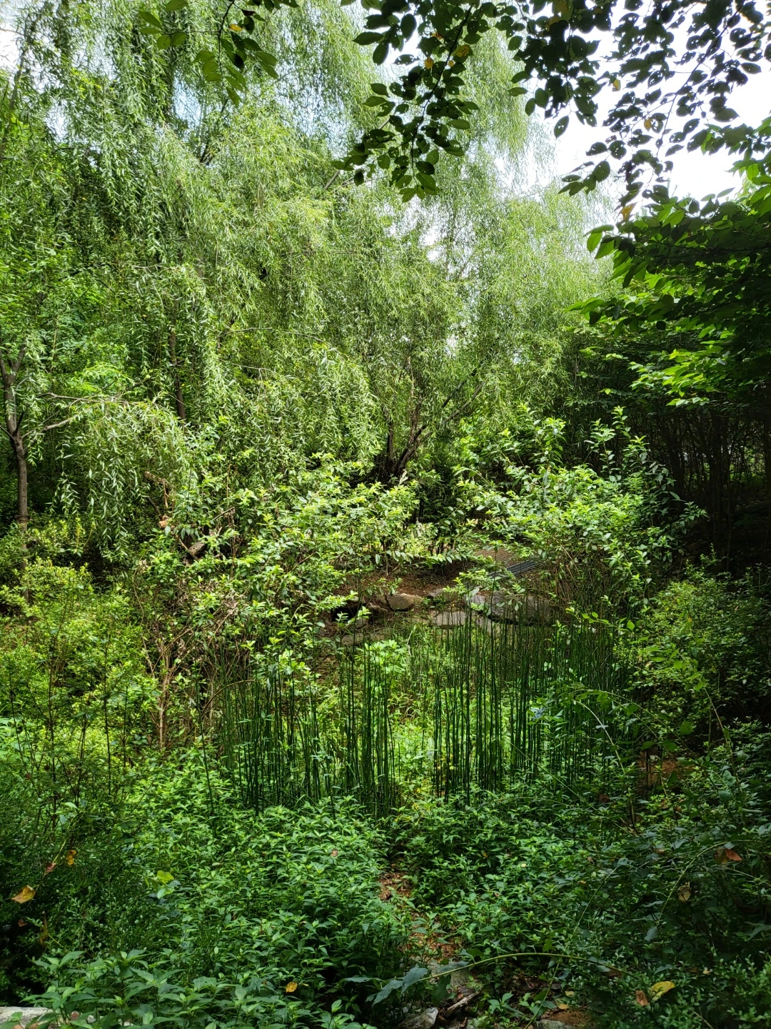 KakaoTalk_Photo_2022-08-18-14-42-10 018.jpeg