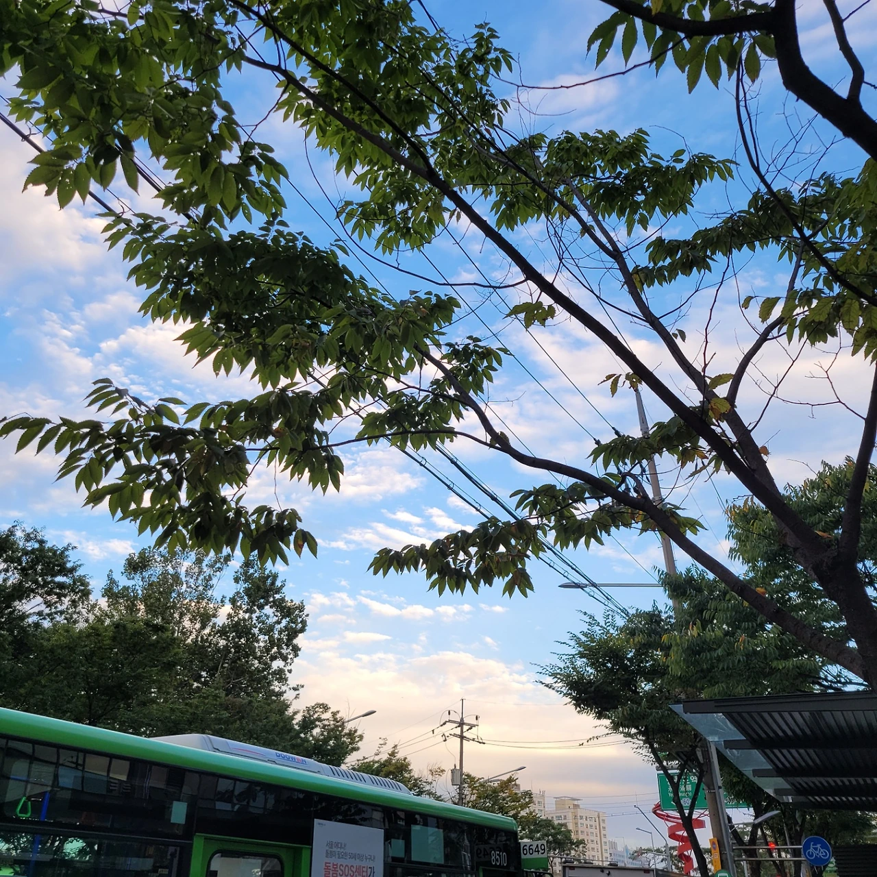 KakaoTalk_Photo_2022-08-18-14-42-07 007.jpeg