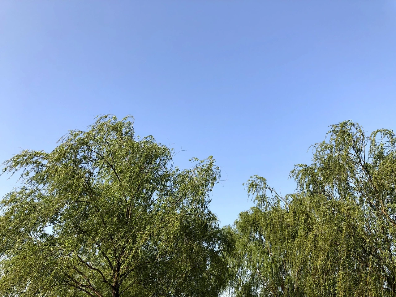 KakaoTalk_Photo_2022-08-18-14-41-11 004.jpeg