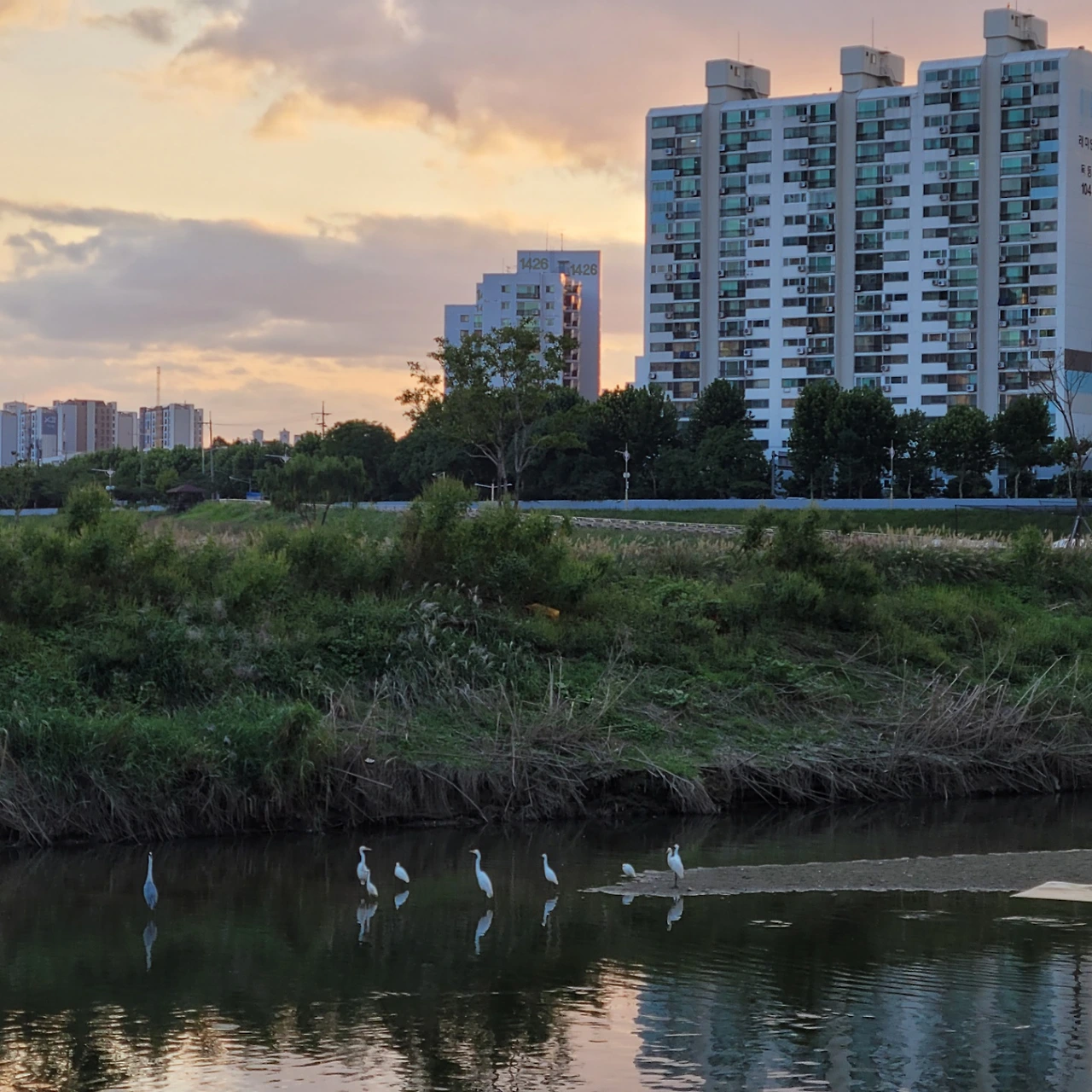 KakaoTalk_Photo_2022-08-18-14-42-07 004.jpeg