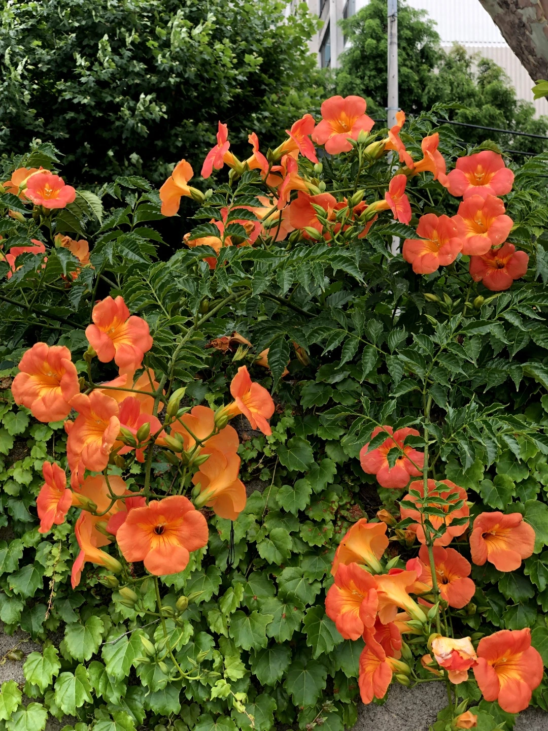 KakaoTalk_Photo_2022-08-18-14-41-26 012.jpeg