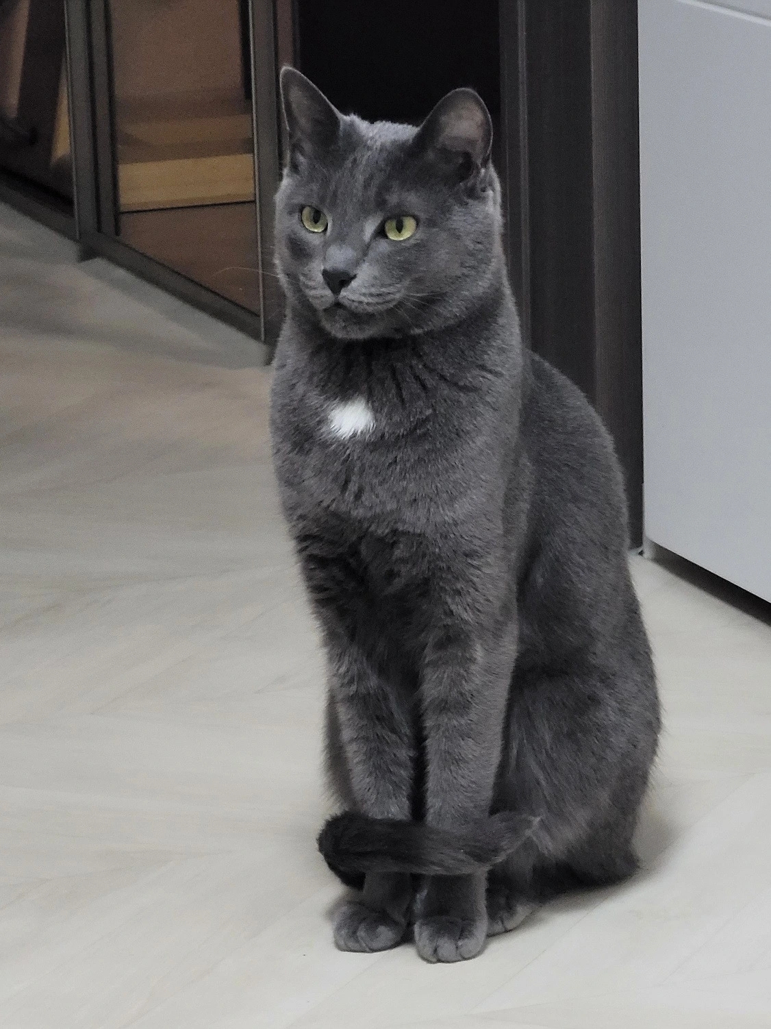 c148a5c4920c2d049245d0897cedadc07da4f1a0