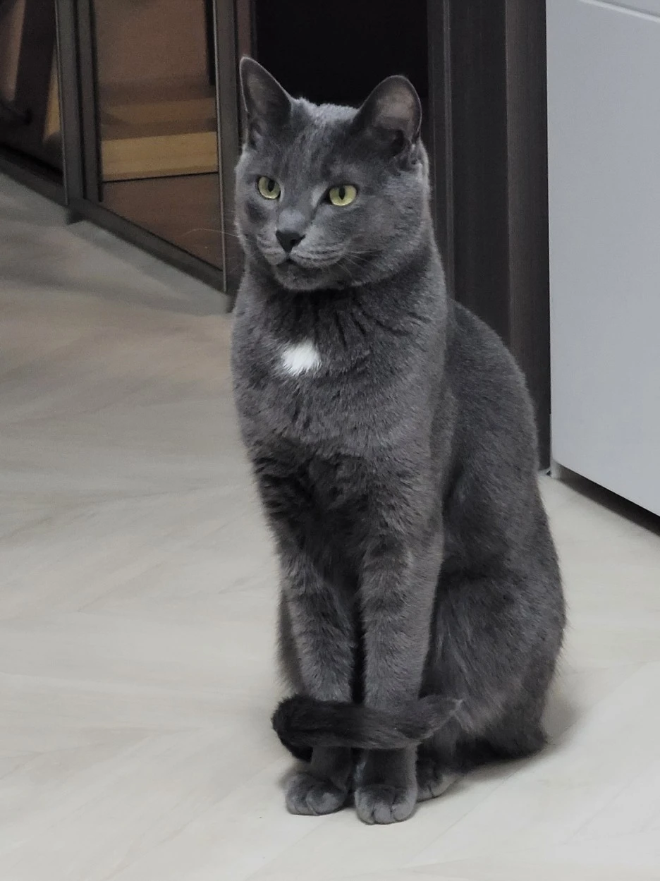 KakaoTalk_20230503_220857871.jpg?type=w1