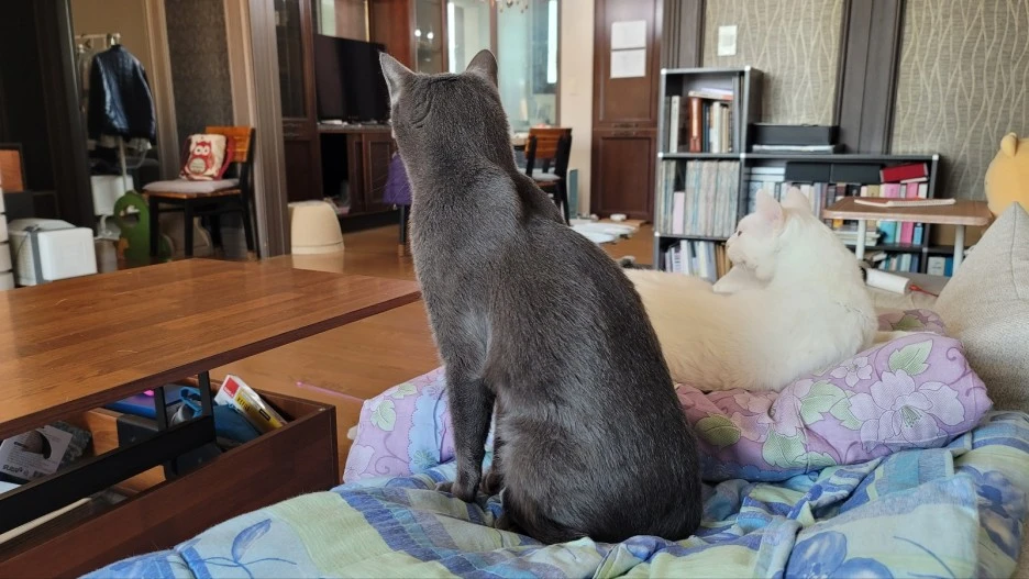 KakaoTalk_20230503_220802276.jpg?type=w1