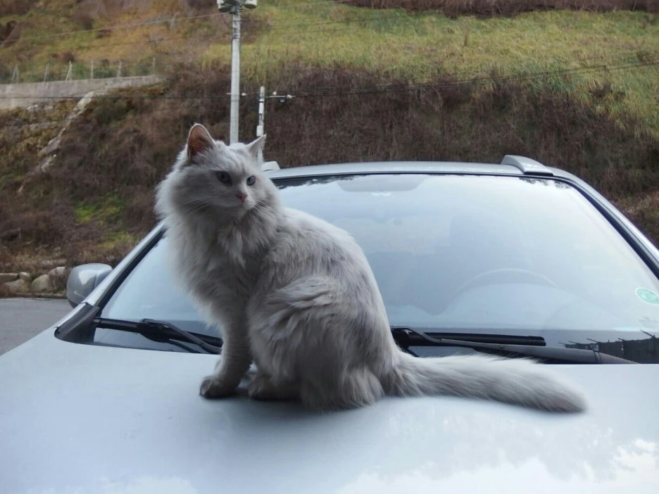 KakaoTalk_20161118_203620407.jpg?type=w1