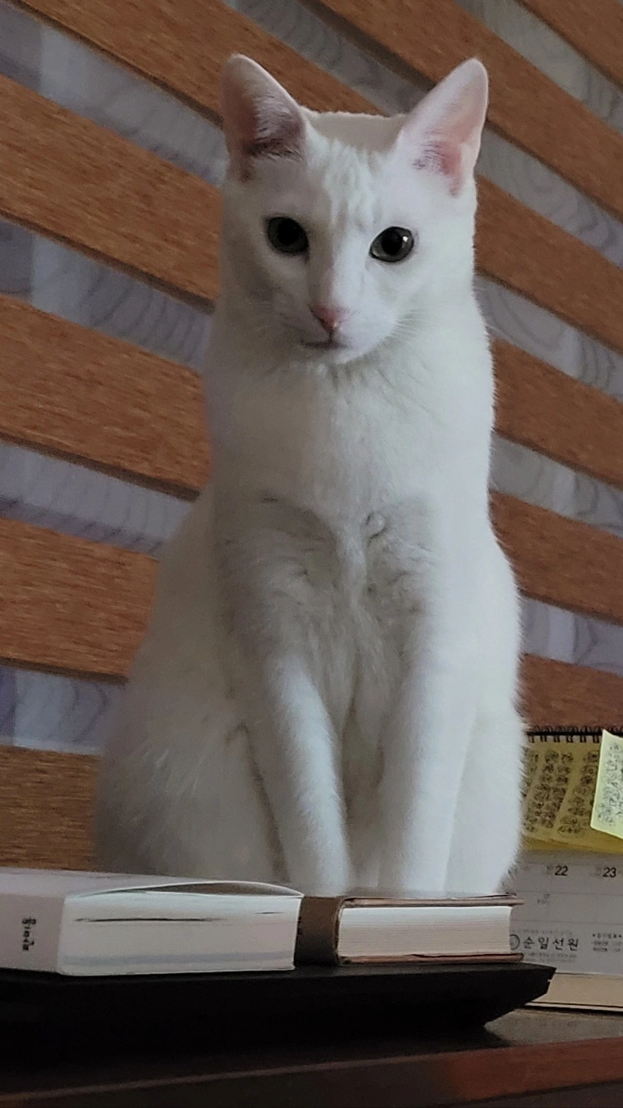 bbb6dbcc810bfdf3fae91be568125a45521dcc02