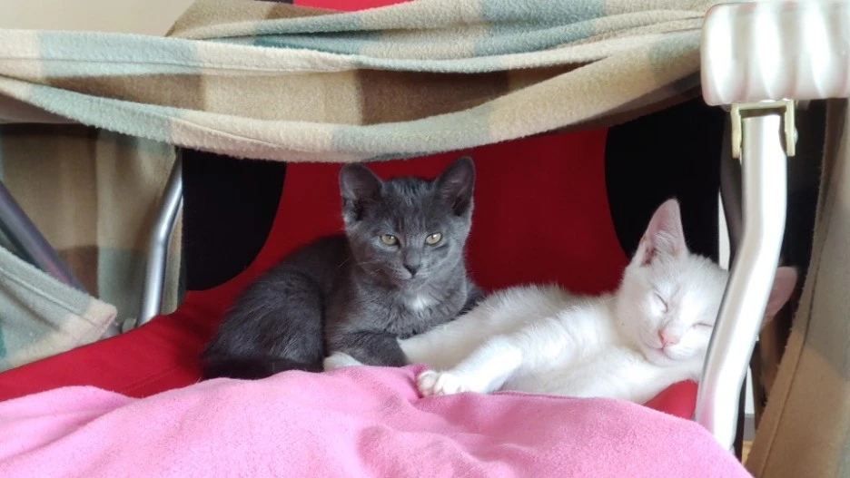 KakaoTalk_20190423_010622146.jpg?type=w1