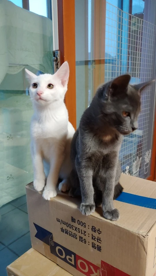 KakaoTalk_20190522_234208334.jpg?type=w1