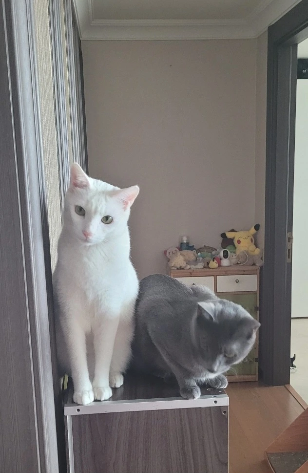 KakaoTalk_20230504_184724591.jpg?type=w1