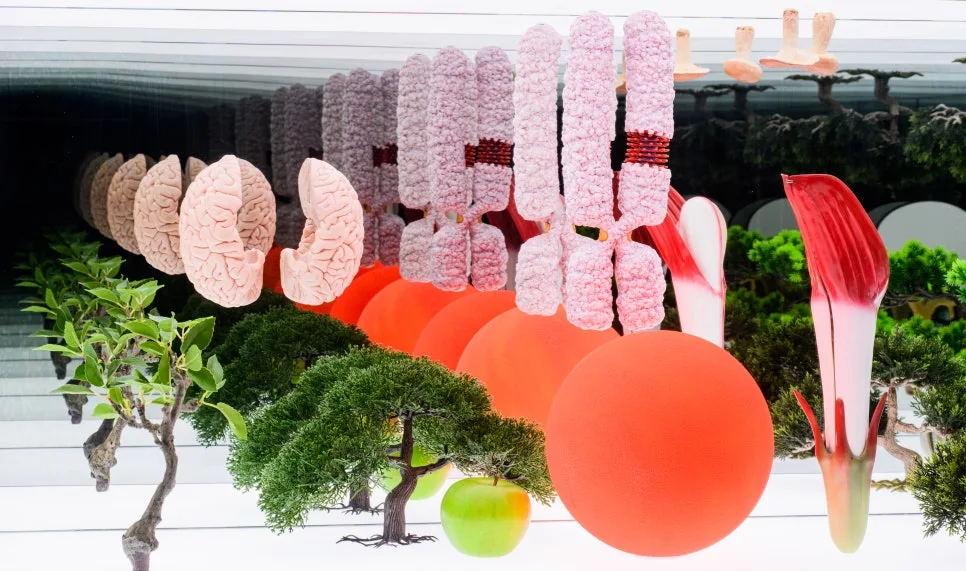 %EF%BC%92.jpg?type=w966