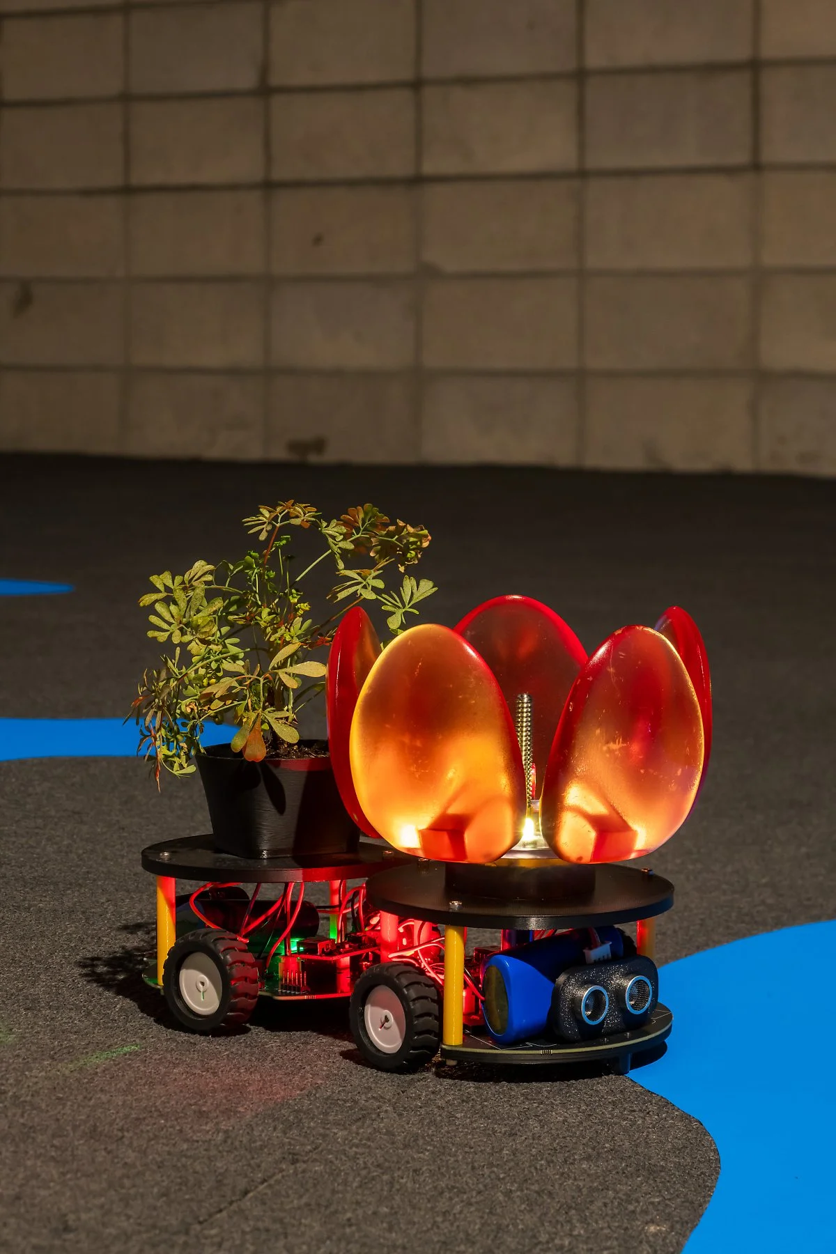 3_%284%29.jpg?type=w1200