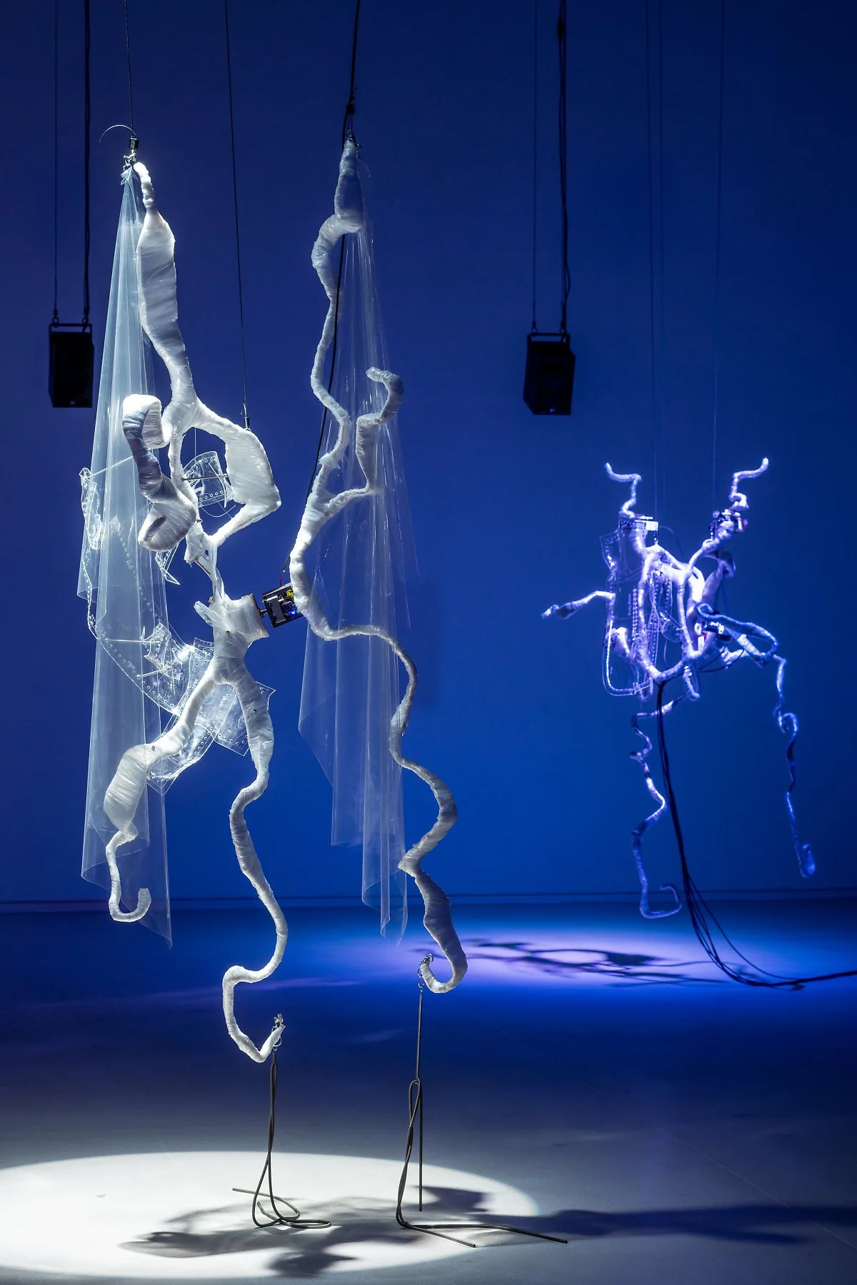 4_%281%29.jpg?type=w1200