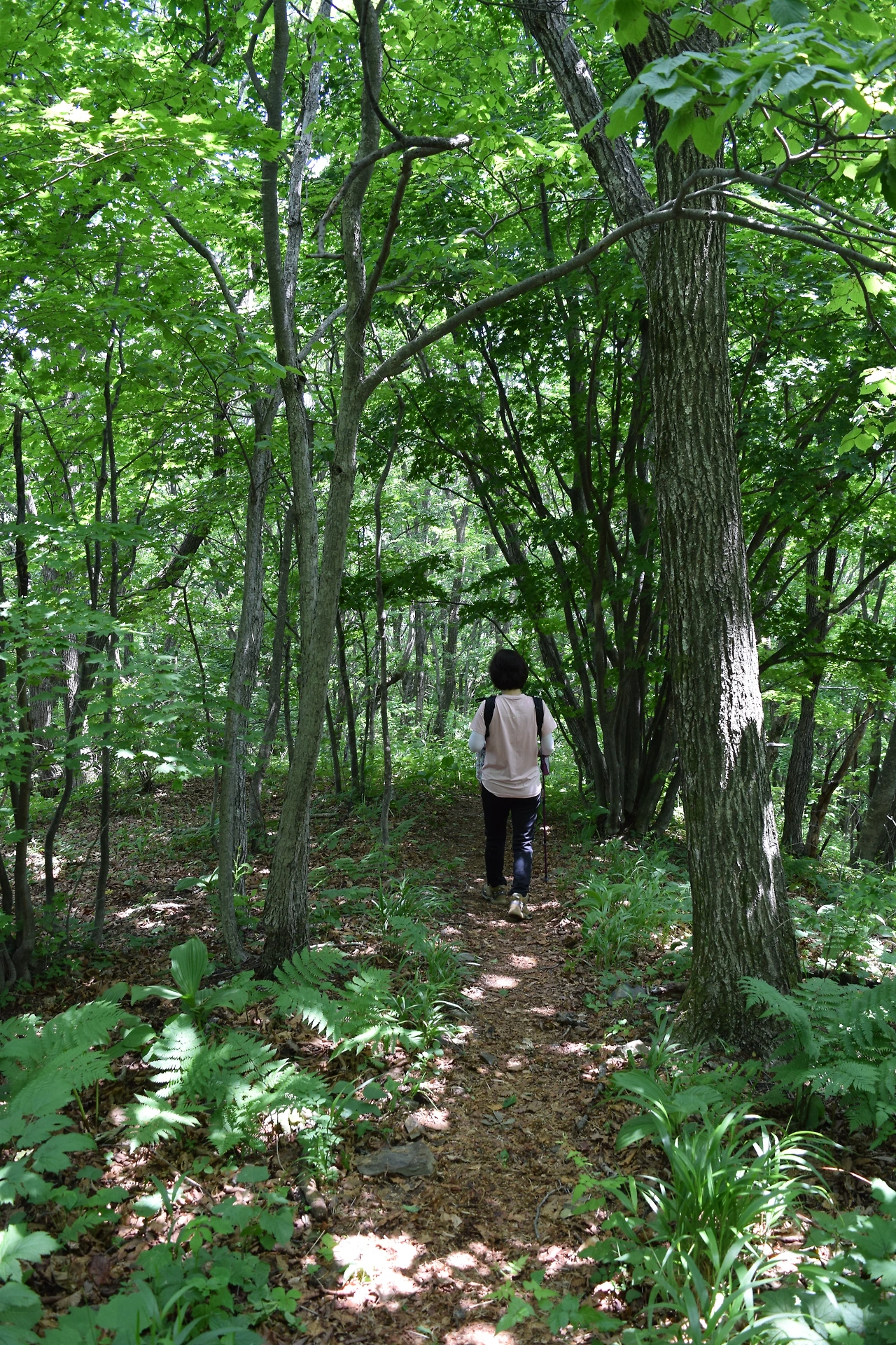 금대 연부인.JPG