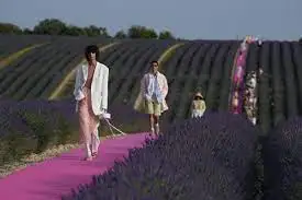 images_(2).jpg?type=w773