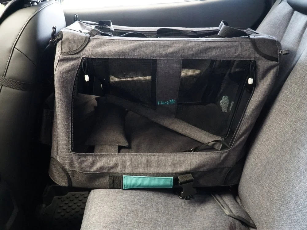 DK_09431.JPG?type=w1200