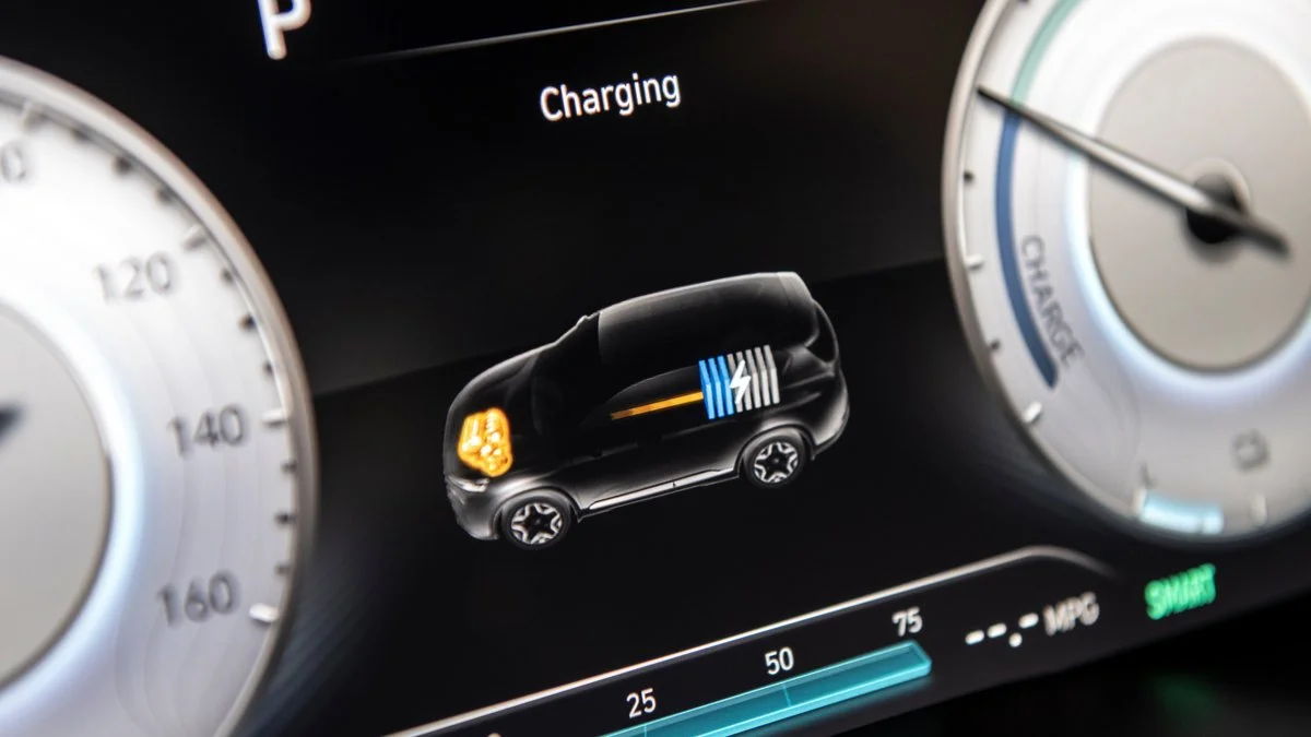 image_6324228211626930511393.jpg?type=w1200