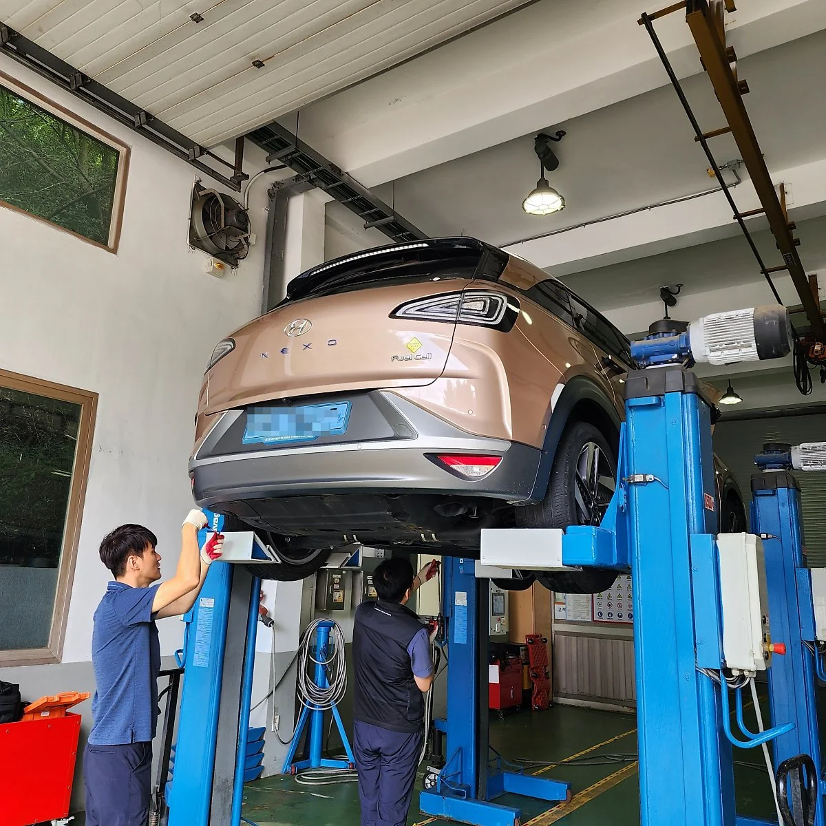 image_4821479031693808651350.jpg?type=w1200